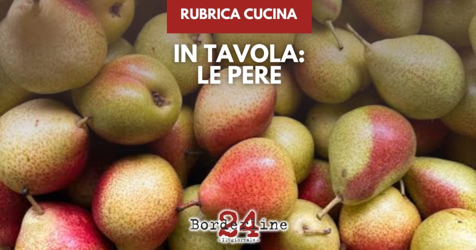 WhatsApp Image 2026-03-10 at 11.20.29 (1)