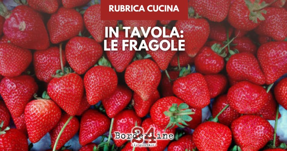 WhatsApp Image 2026-03-10 at 11.20.29