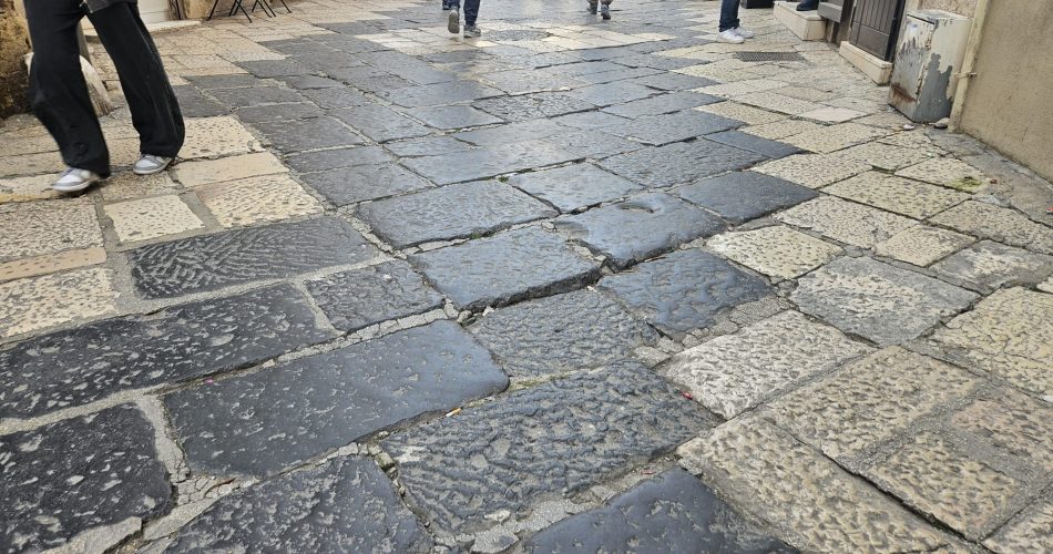 WhatsApp Image 2026-03-12 at 16.27.19 (1)