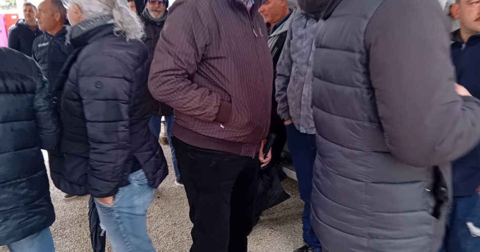 WhatsApp Image 2026-03-16 at 11.34.24