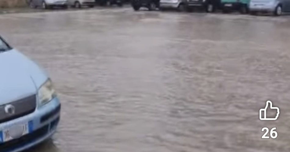 WhatsApp Image 2026-03-17 at 16.39.01