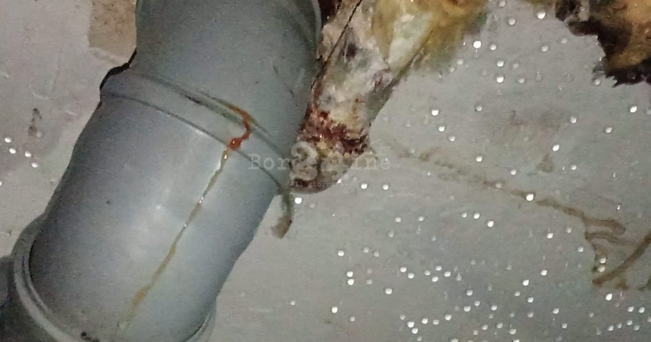 WhatsApp Image 2026-03-23 at 10.41.36