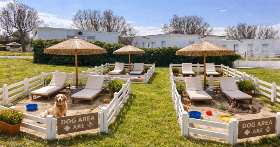 WhatsApp Image 2026-03-23 at 13.57.22