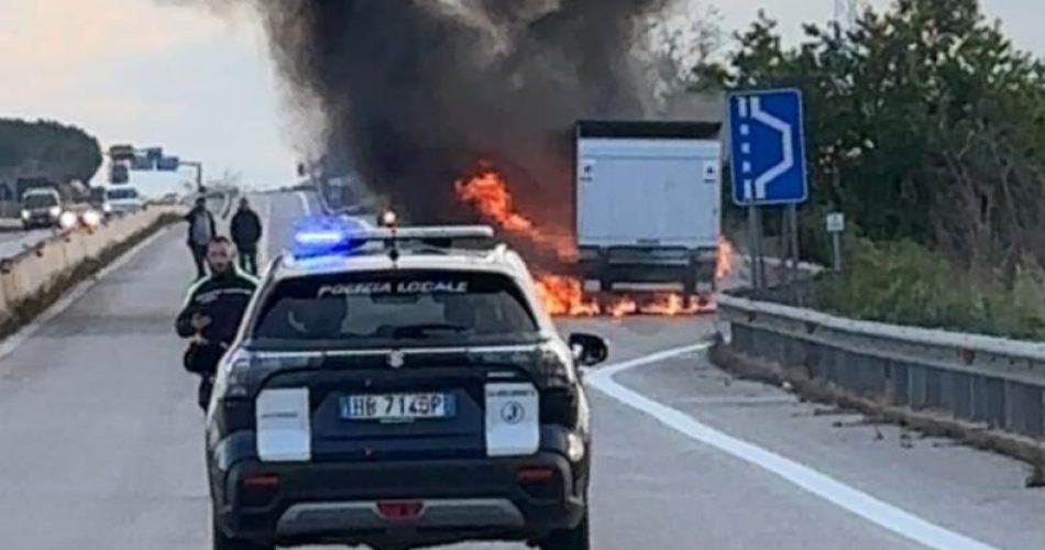 WhatsApp Image 2026-03-23 at 17.18.55