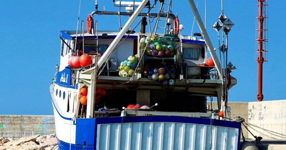 WhatsApp Image 2026-03-24 at 09.36.00