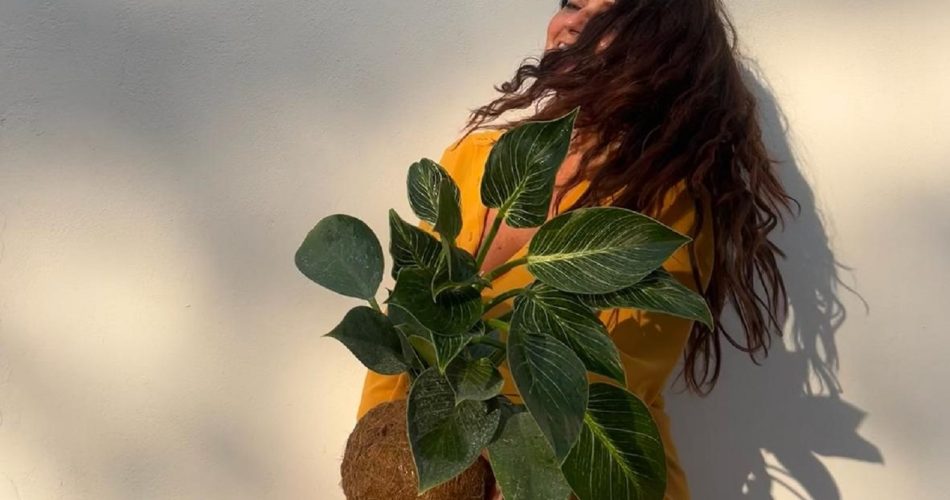 Angela Kokedama Mi Amor