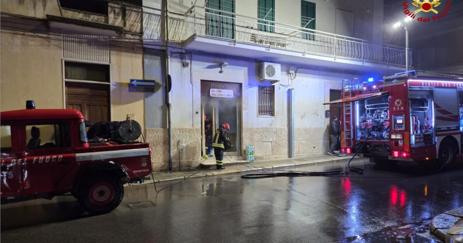 WhatsApp Image 2026-03-31 at 08.54.10