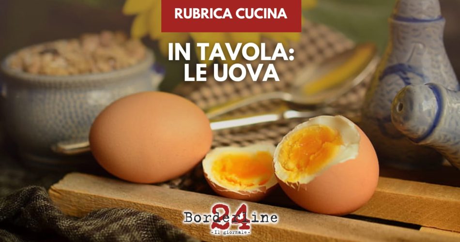 WhatsApp Image 2026-03-31 at 12.22.20