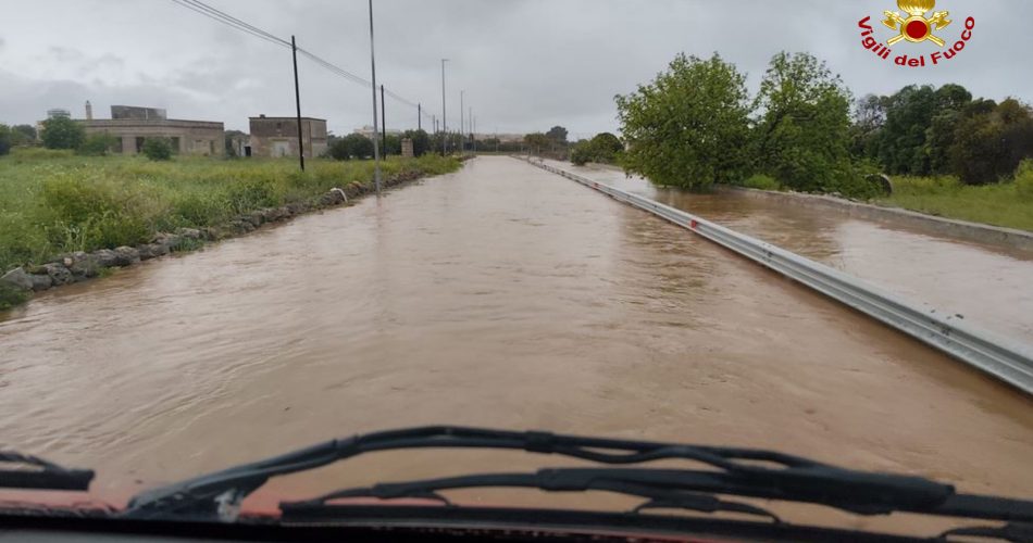 WhatsApp Image 2026-04-01 at 15.10.46