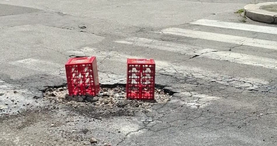 WhatsApp Image 2026-04-03 at 11.43.31