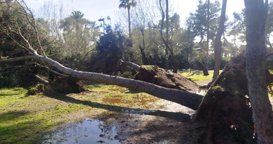 WhatsApp Image 2026-04-03 at 17.23.48