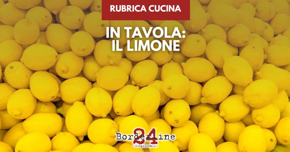 WhatsApp Image 2026-04-20 at 09.25.37 (1)