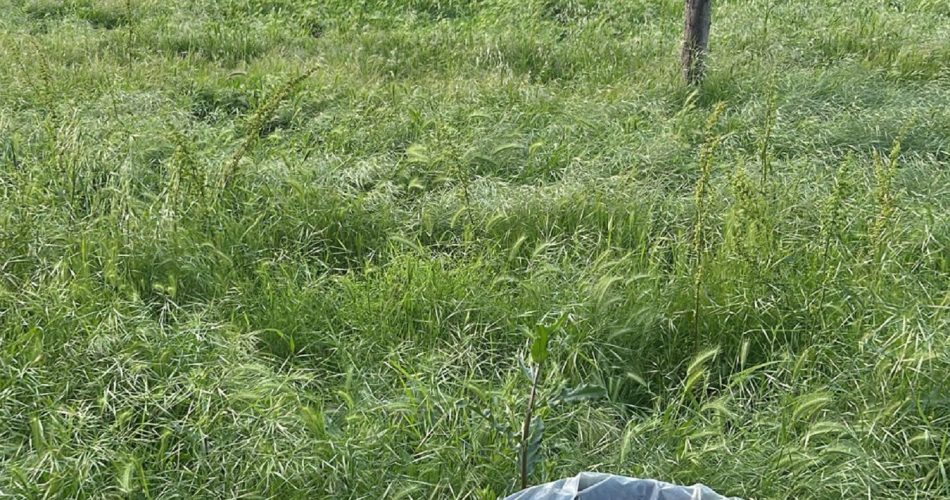 WhatsApp Image 2026-04-20 at 09.42.08