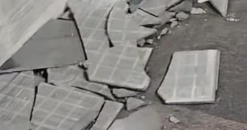 WhatsApp Image 2026-04-24 at 09.07.47