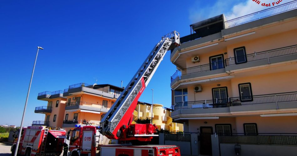 WhatsApp Image 2026-04-24 at 12.10.12