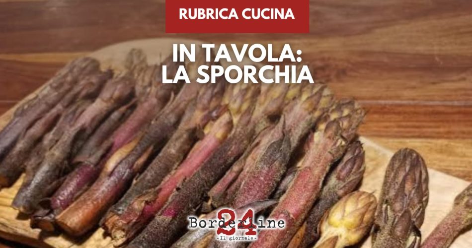 Sporchia