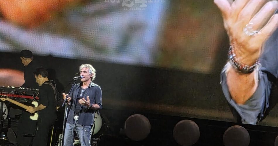 ligabue