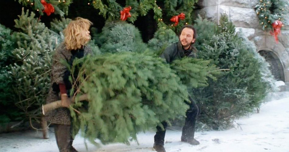 Whenharrymsally Pyxurz