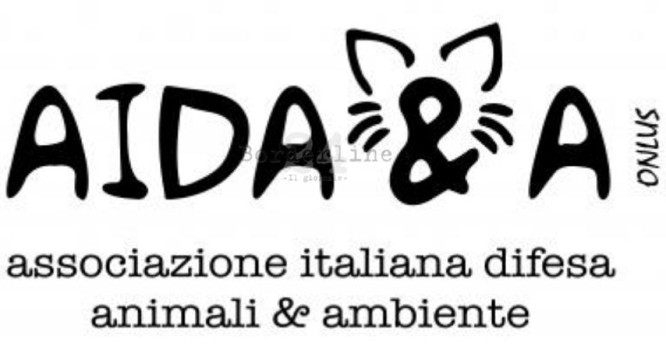 aidaa