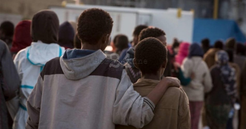 a28b59b0-4253-415e-9949-4989268df6c8_xl