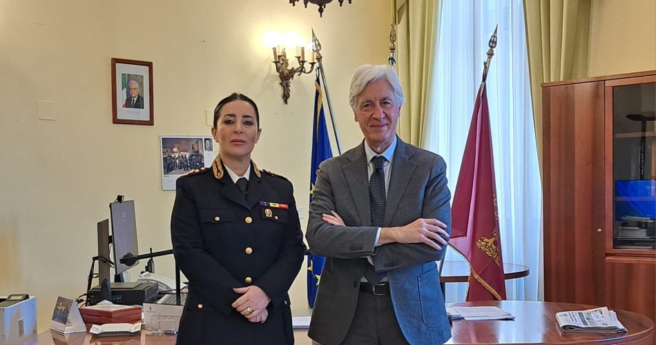 a50b7678-e960-48b3-87d0-b7140801bdad