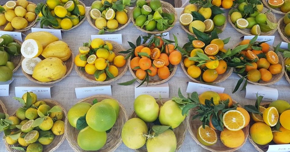 agrumi di Puglia