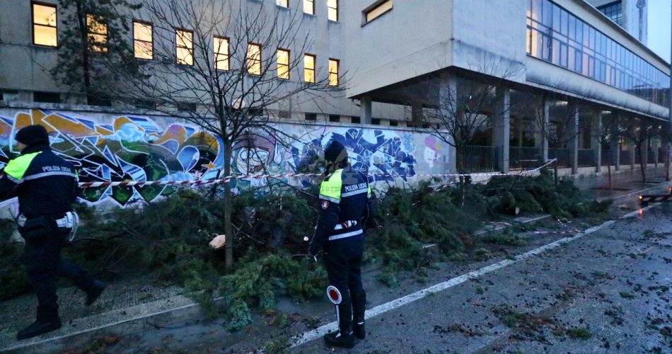 albero crollato maltempo