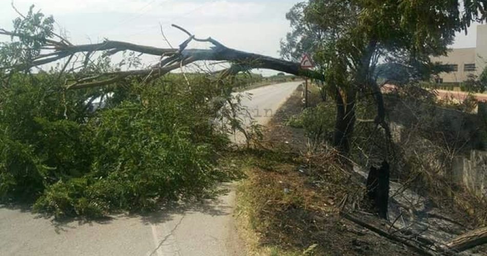 foto di Domingo Armenise pubblicata du facebook