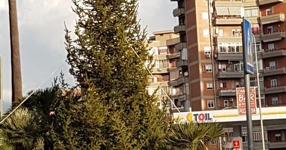 (foto La Voce del San Paolo)