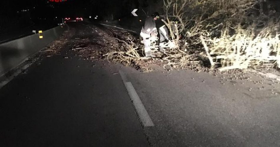 Maltempo: alberi su E45 in Umbria per vento, nessun ferito
