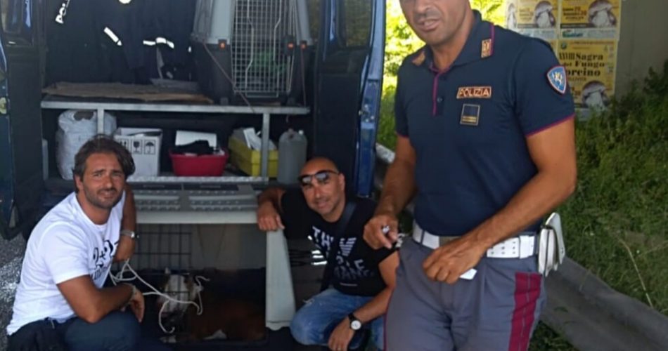 polizia cinofila salvataggio