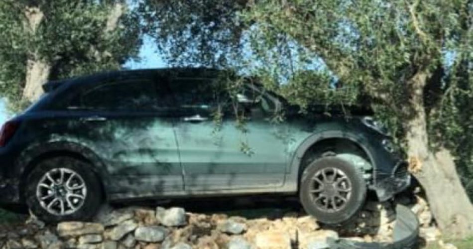 foto Amo Casamassima