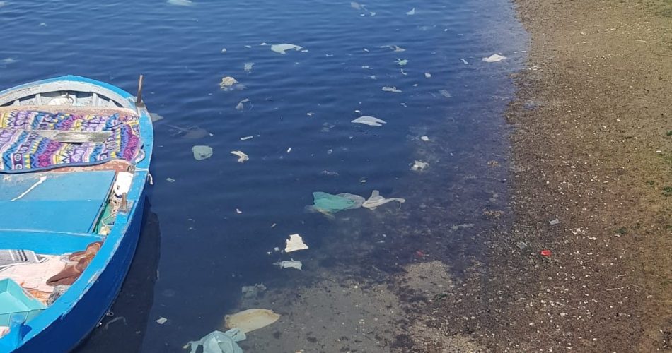 annegarenellaplastica