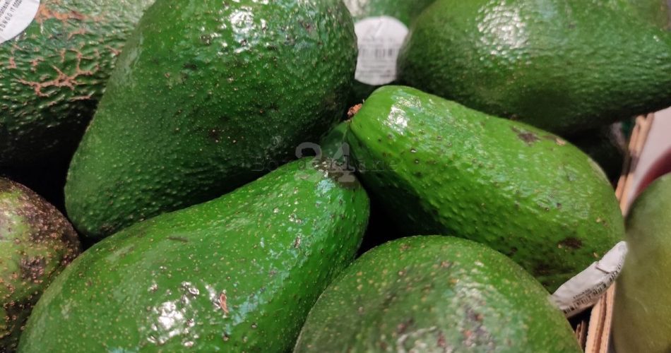 avocado