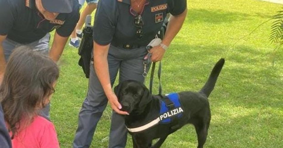 b015b321-b43f-40a6-916b-3b9143cf9cf6