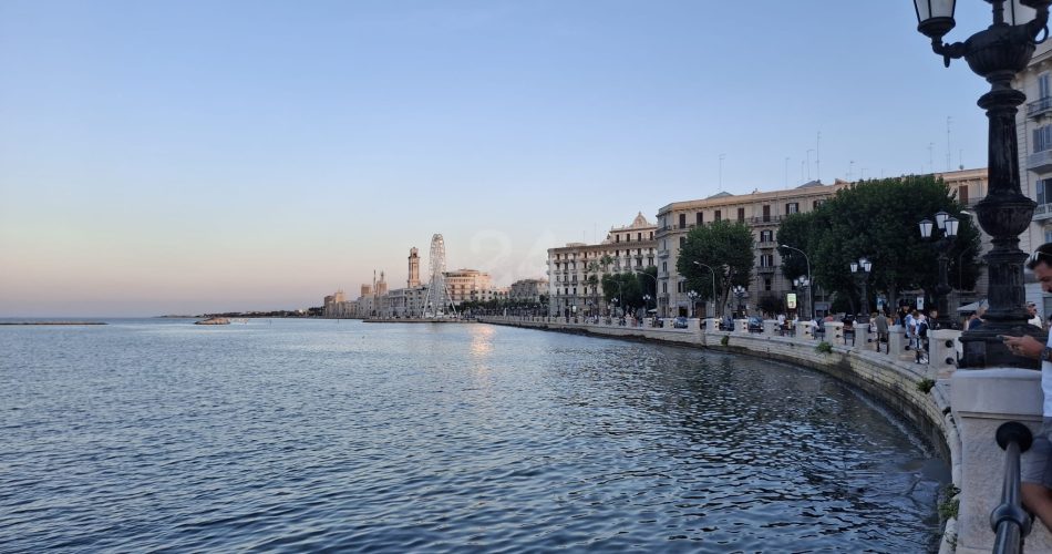 bari pano