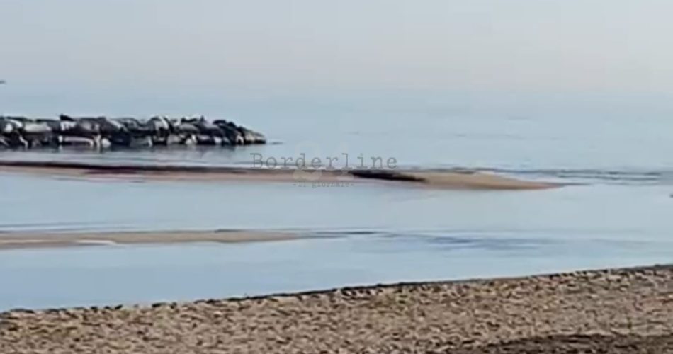 bassa marea pane e pomodoro