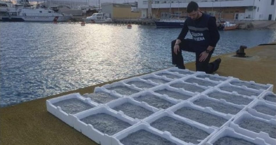 bianchetto sequestro