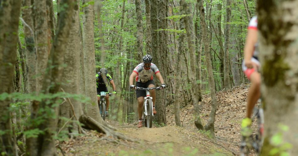 Foto Biking team Cassano