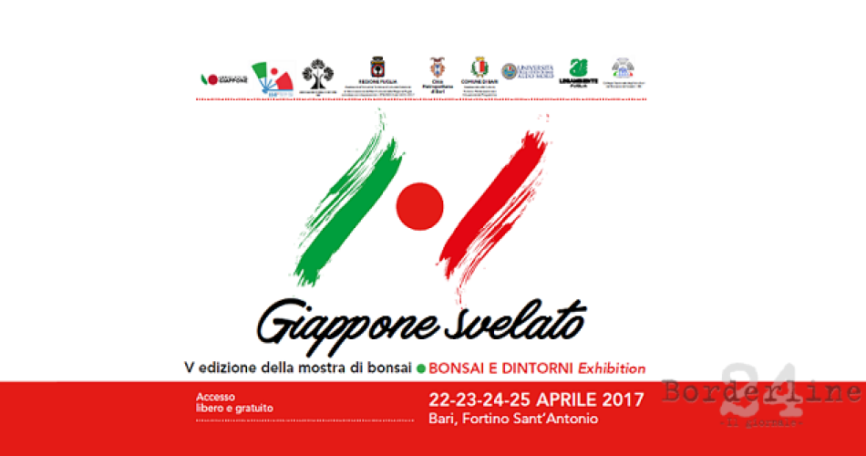 bonsai e dintorni