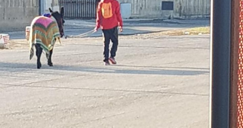 foto Confraternita Misericordia Andria