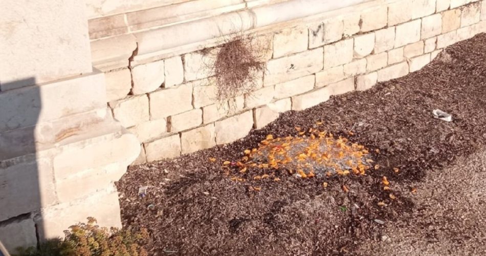 Foto Facebook Decaro