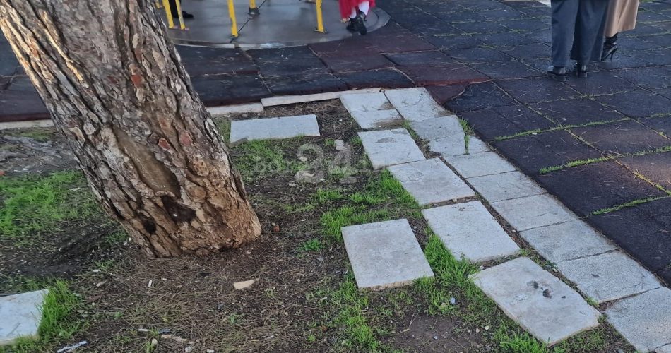 c9bae82c-1ab4-468a-874c-a38b0f61dcb0