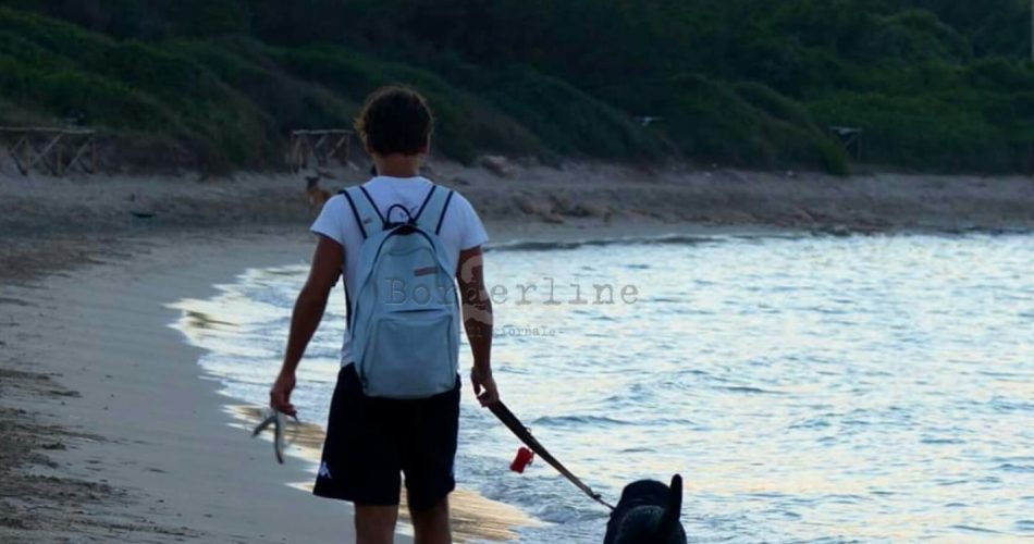 cane sulla spiaggia