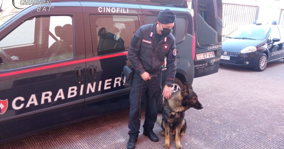 cani antidroga1