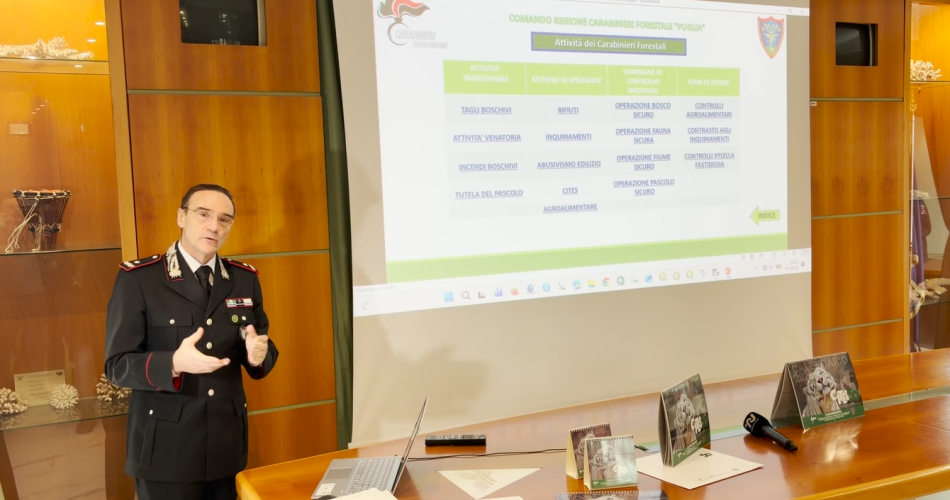 carabinieri forestali
