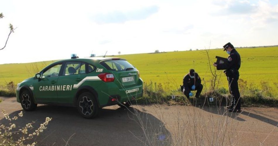 carabiniericinghiali