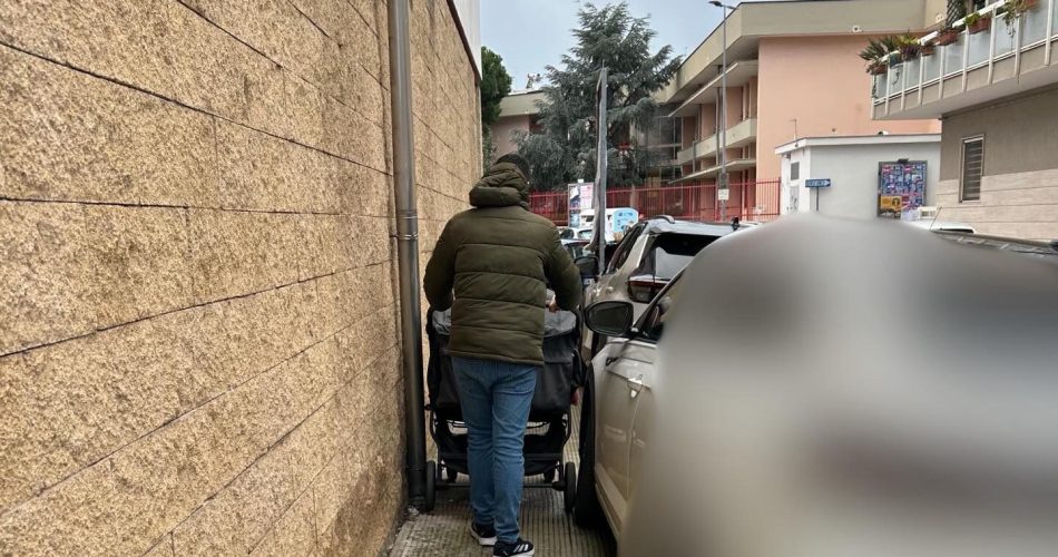 carrozzina