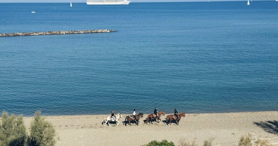 cavalli san girolamo