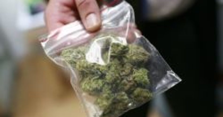 cellophane-marijuana-500x334